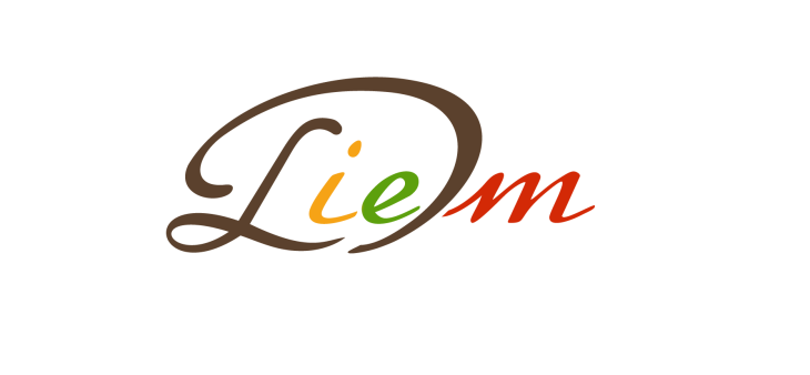  LieDM-logo_EN.png